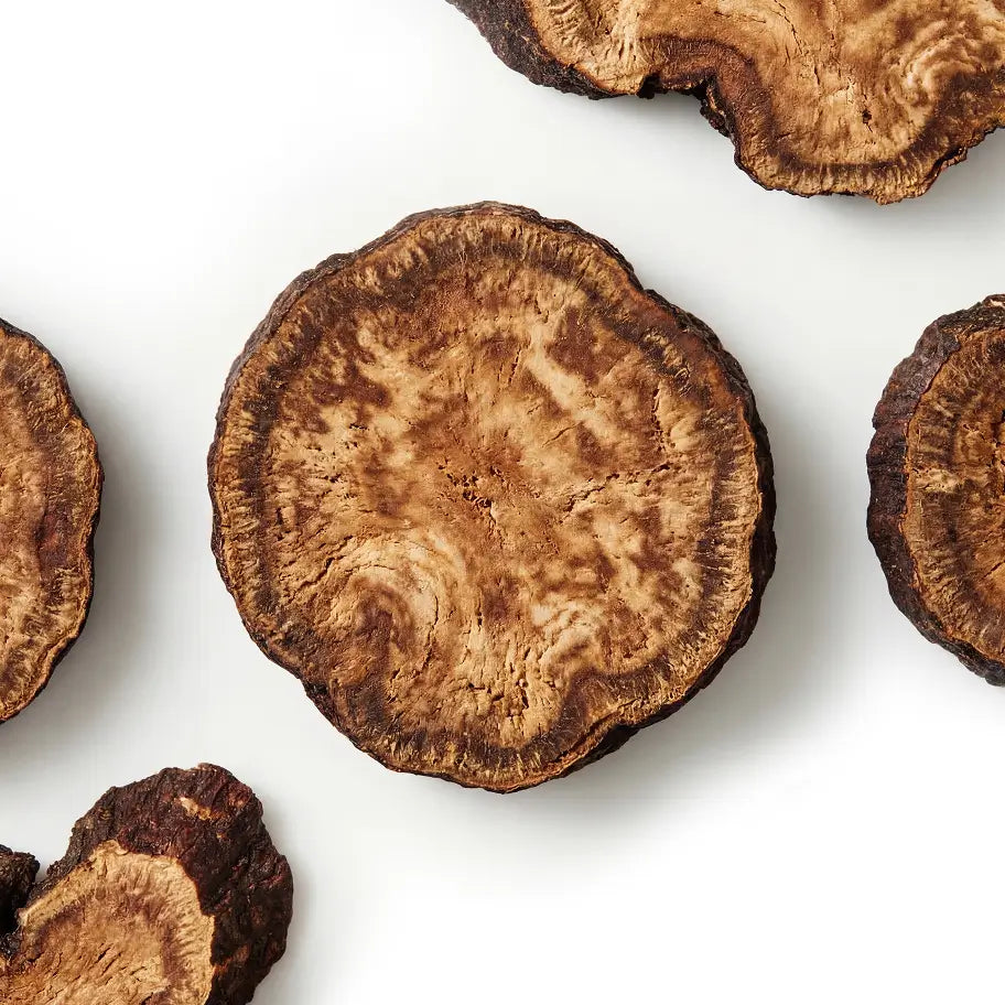 Dried reishi mushroom slices on a white surface