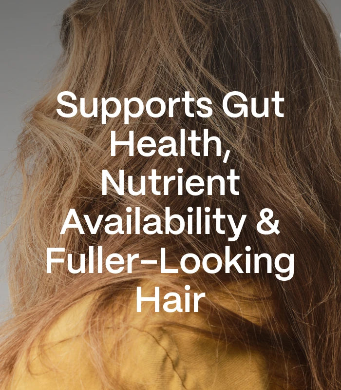 Supports Gut Health, Nutrient Availability & Fuller-Looking Hair