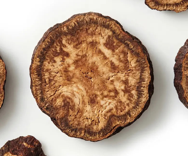 Slices of dried fo-ti root