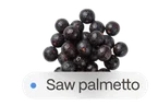 Saw palmetto